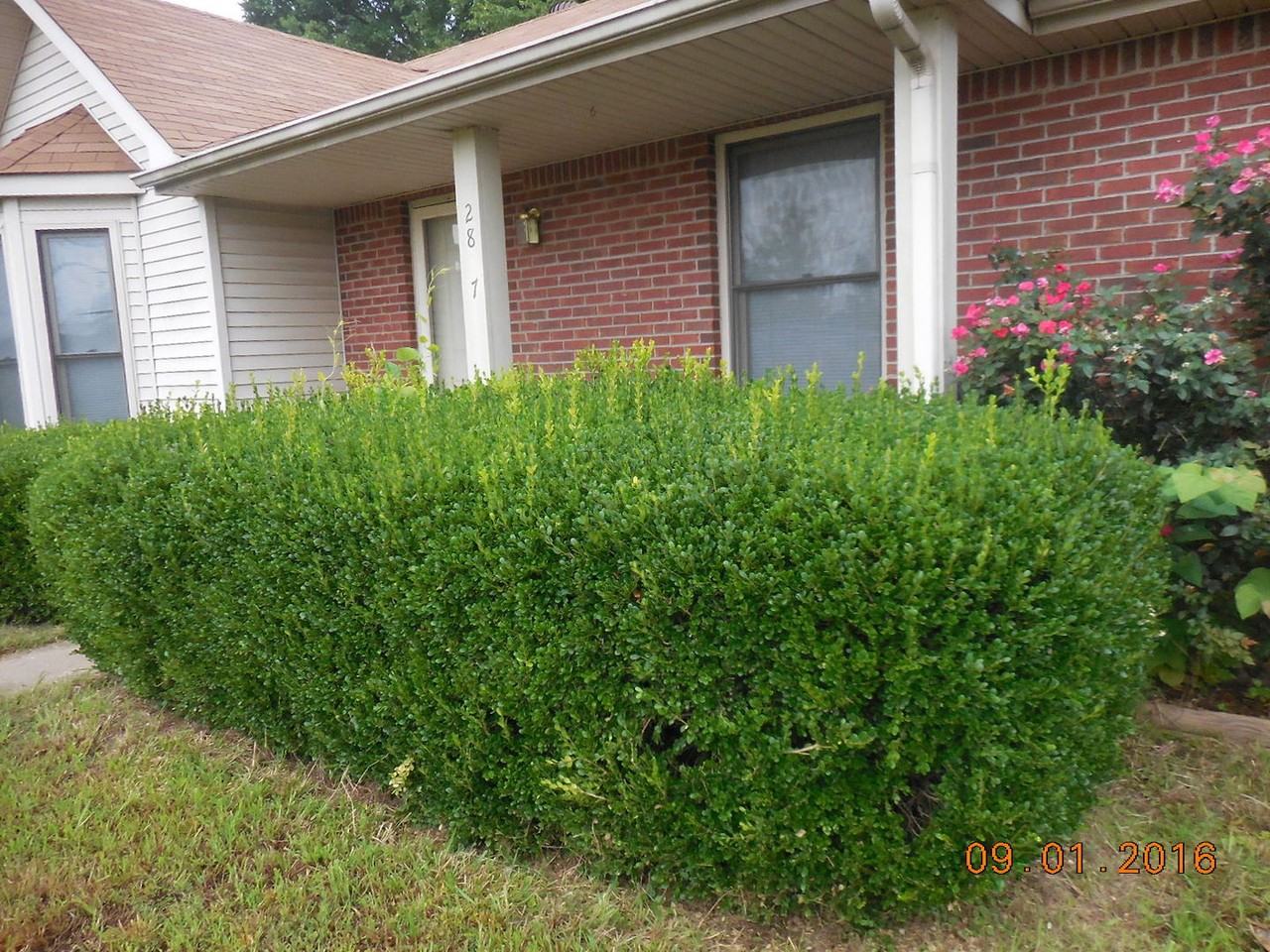 2807 Highway 41a S - Photo 2 of 11