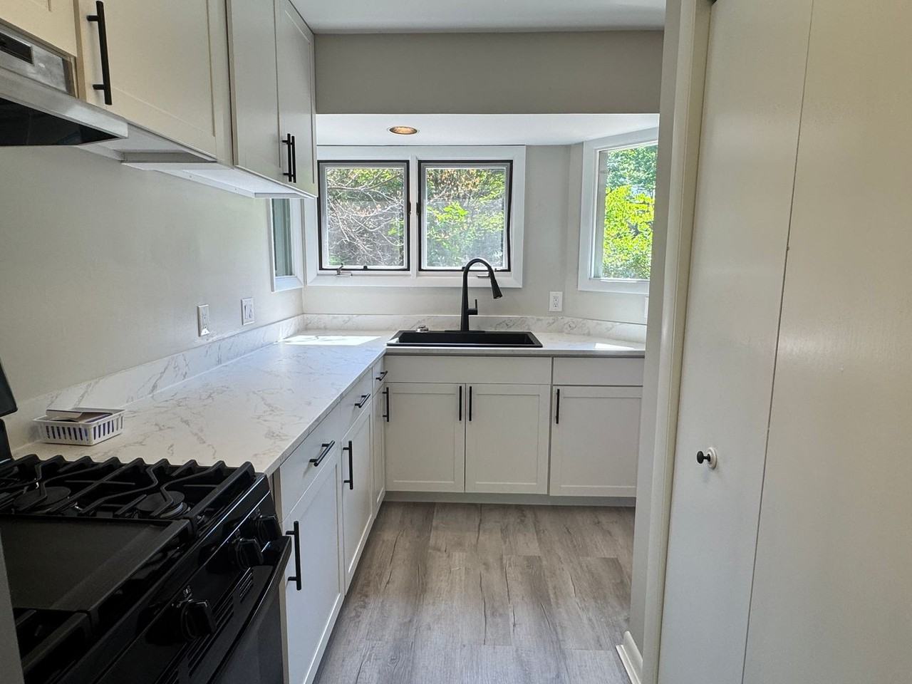 435 Chester Woods Ct - Photo 6 of 19