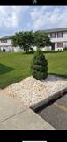 125 White Pine Ct - Photo 1 of 1