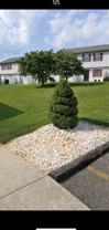 125 White Pine Ct - Photo 1 of 1