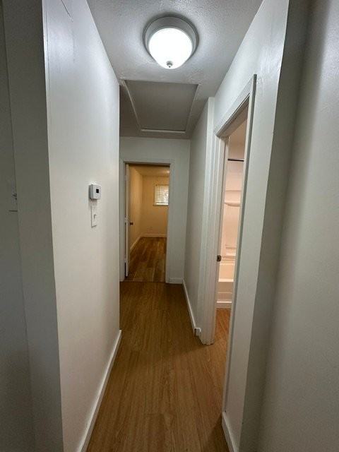 1814 Ivory St - Photo 7 of 20
