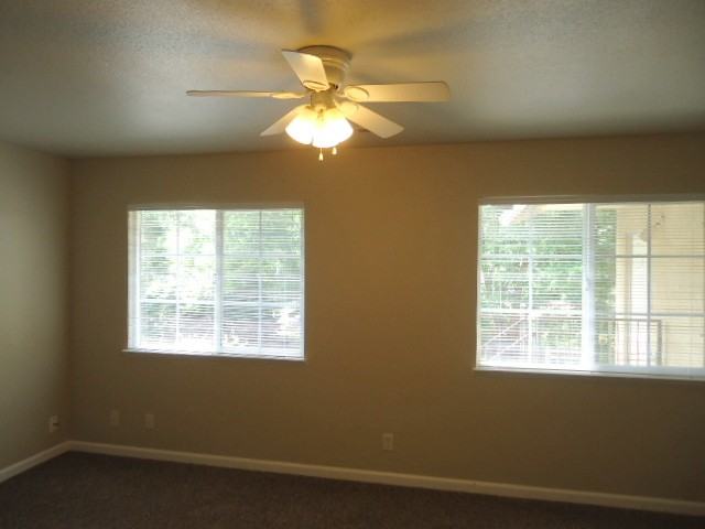 925 Oak Lawn Ave #2 - Photo 7 of 11