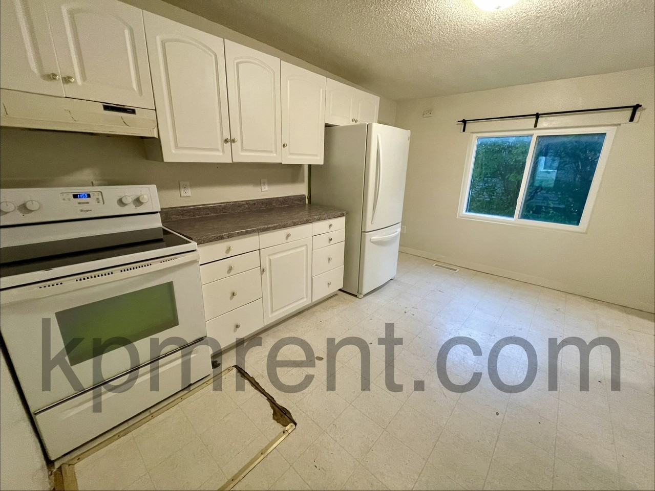 303 Chestnut St #1 - Photo 3 of 15
