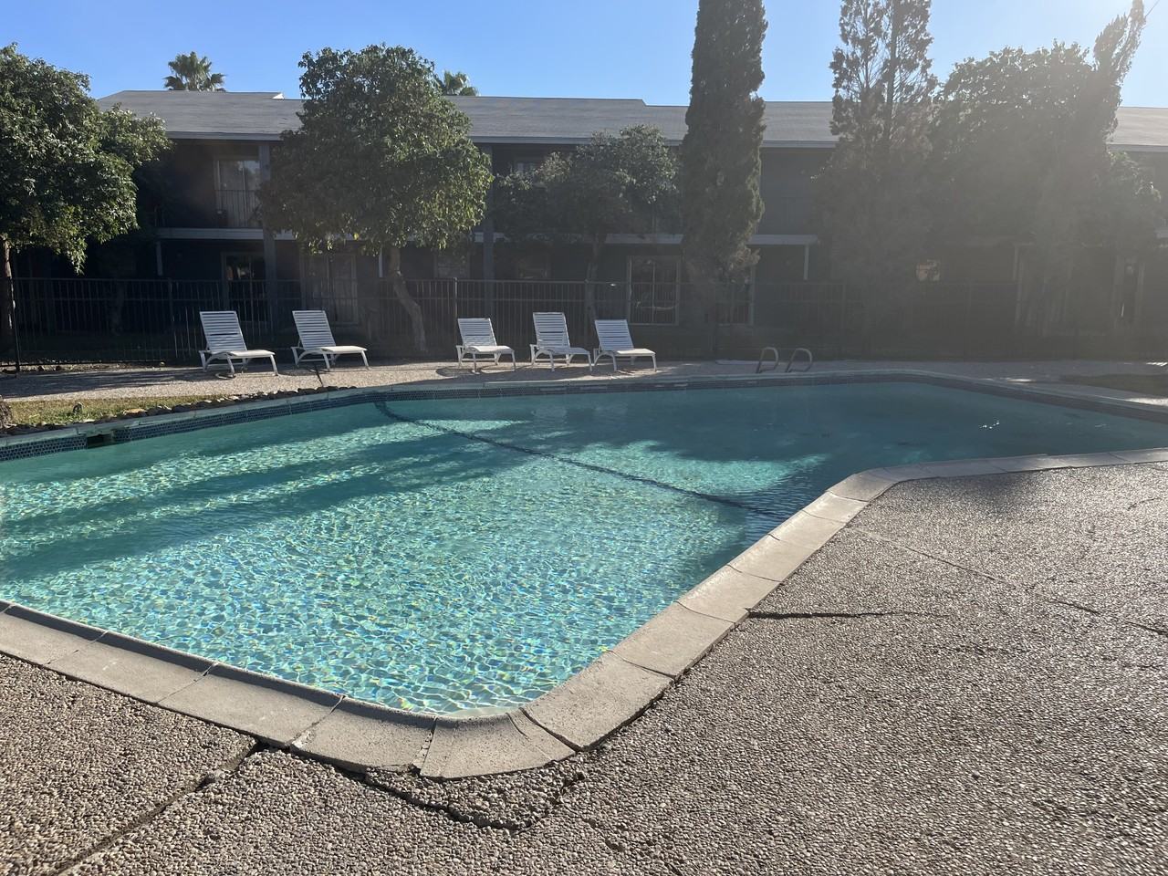 Palms Apartments - Photo 4 of 16