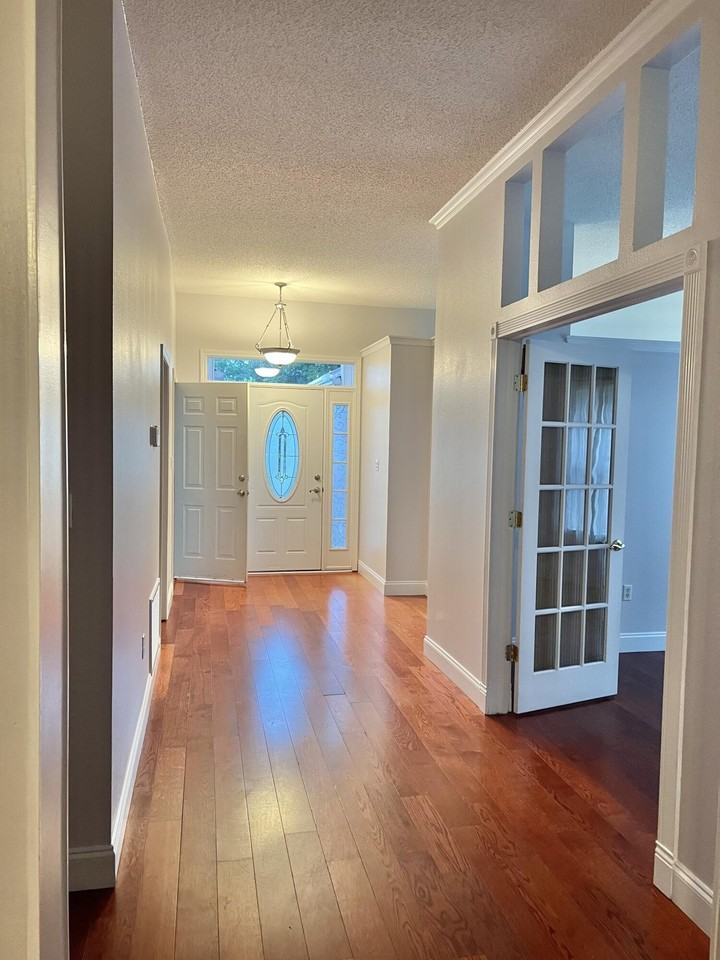 4204 Whitetail Cir - Photo 5 of 16