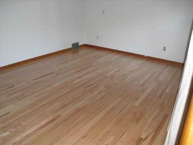 808 Pauline Blvd - Photo 5 of 19