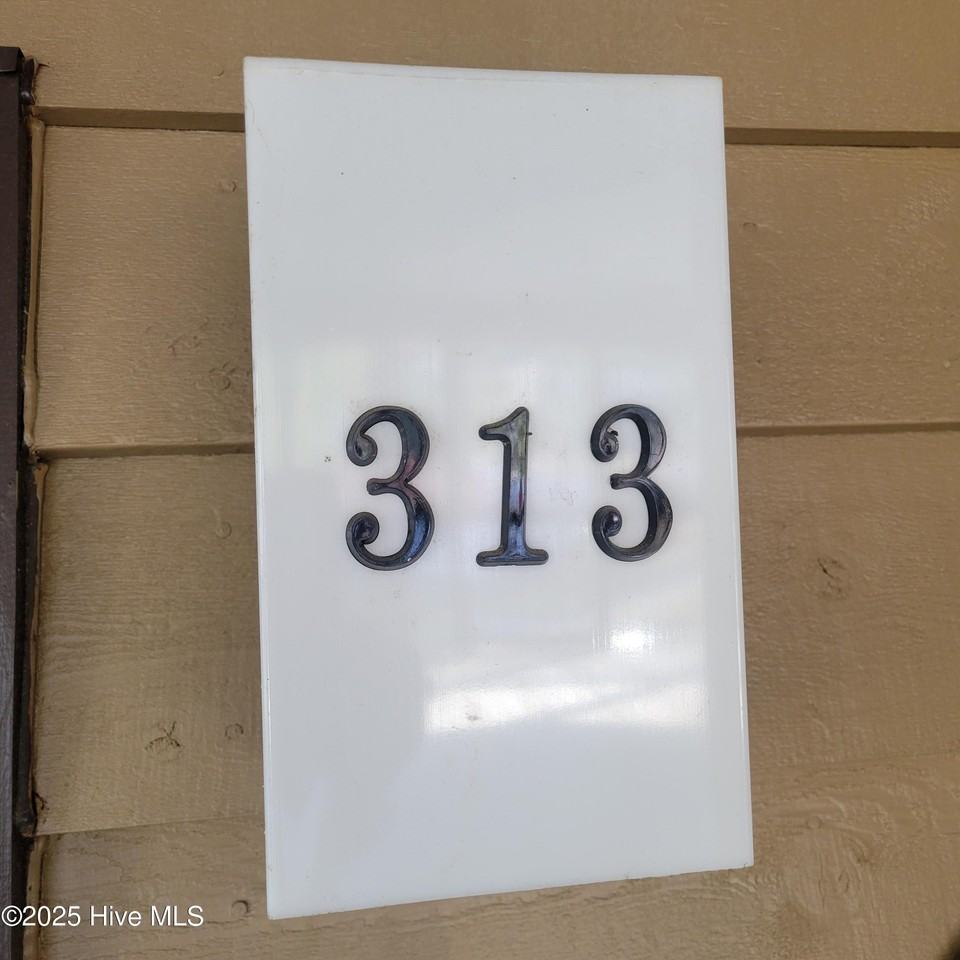 313 Lake Place Condo Dr - Photo 5 of 24
