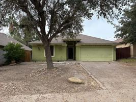 featured image of 316 Cinnamon Teal Loop