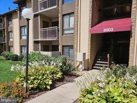 6003 Majors Ln - Photo 1 of 1