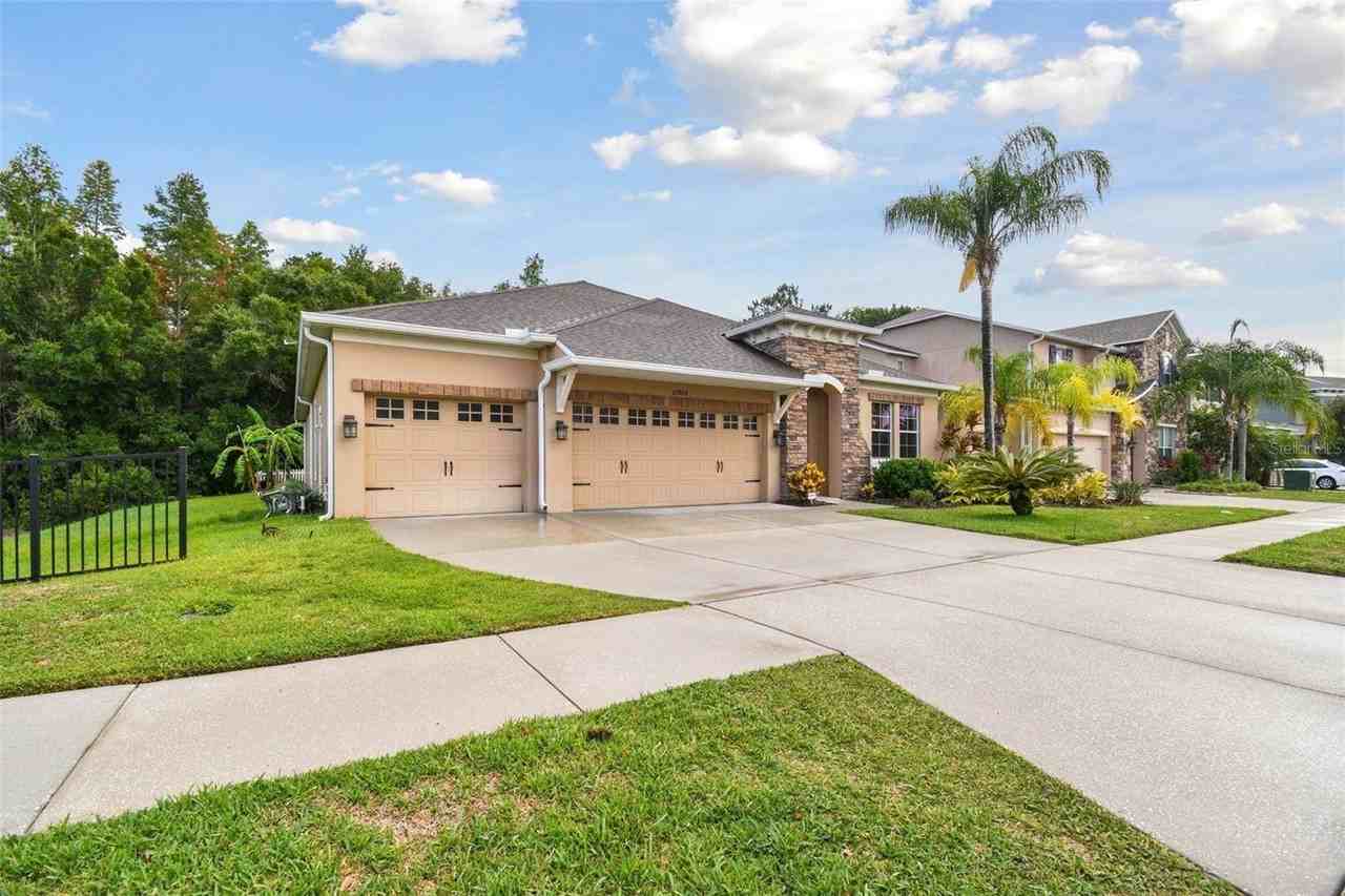 27806 Autumn Breeze Cir - Photo 2 of 43