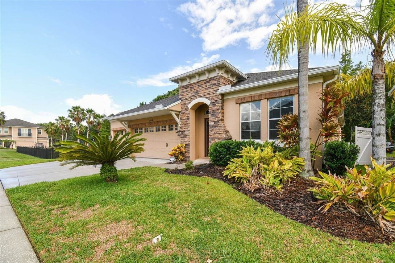 27806 Autumn Breeze Cir - Photo 5 of 43