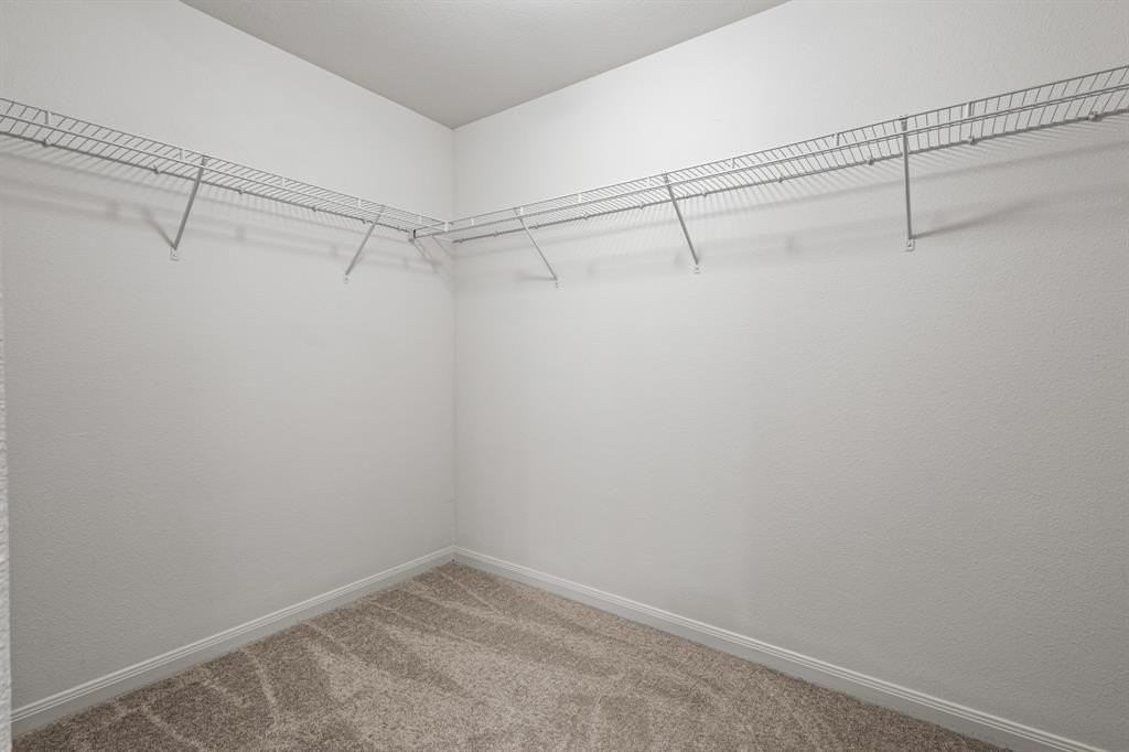 4308 Cat Tail Way - Photo 5 of 19
