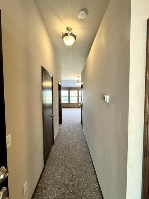 433 Argos Rd - Photo 6 of 28