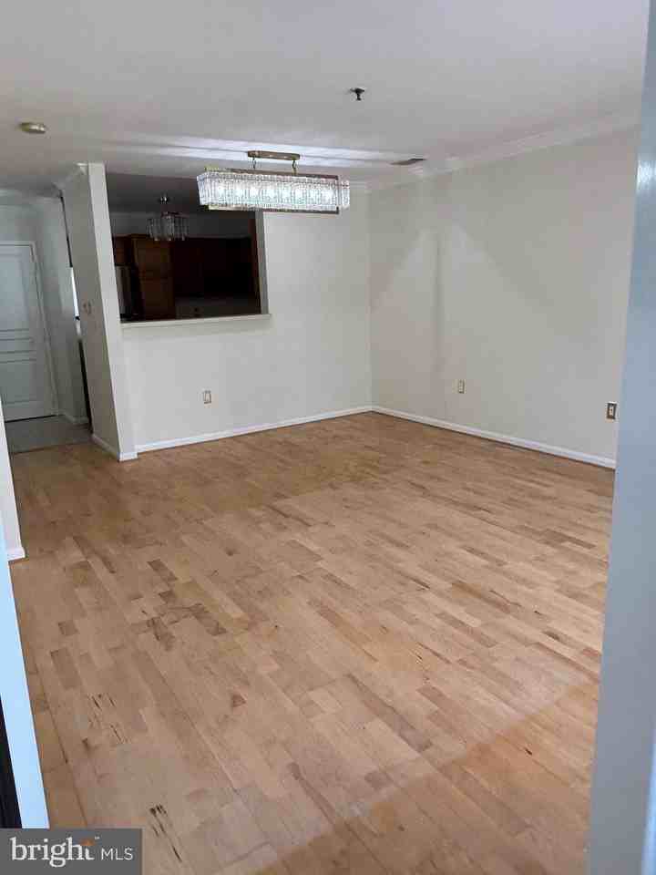 5575 Seminary Rd #211 - Photo 7 of 24