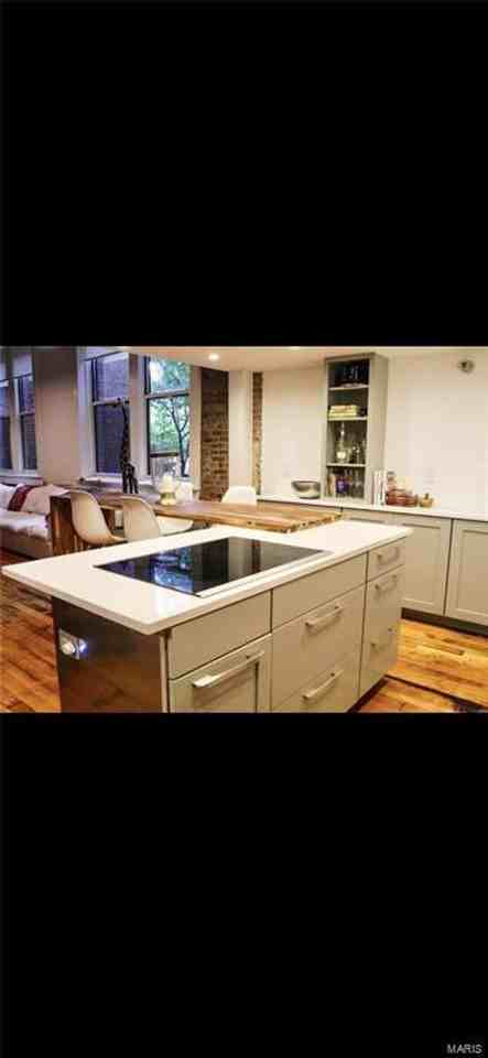 4242 Laclede Ave #108 - Photo 6 of 36