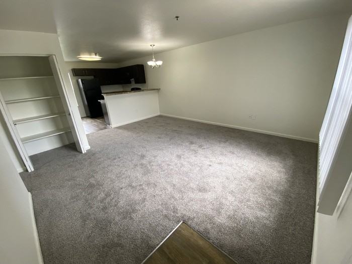 10754 Belle Creek Blvd #203 - Photo 3 of 25