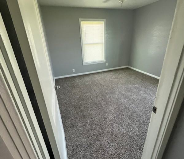 715 - 717 Stetson Ave - Photo 3 of 5