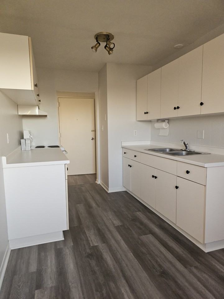 59 Empire St - Photo 5 of 11