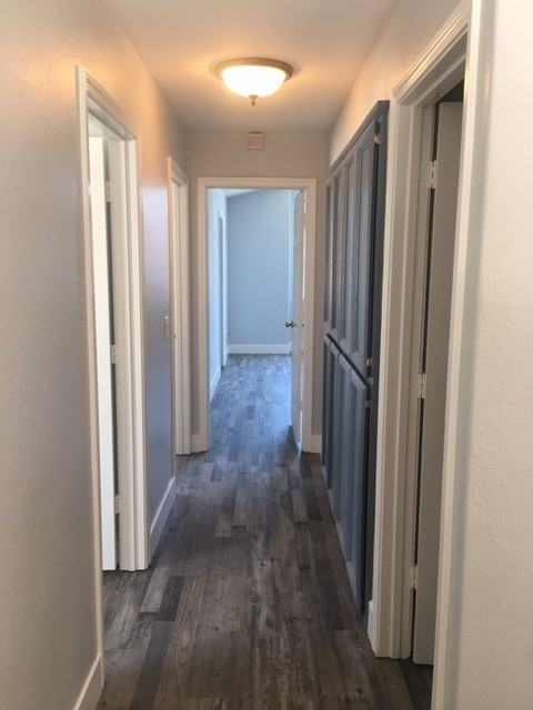 8669 Gossamer Way - Photo 6 of 9