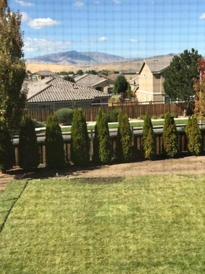 7071 Sacred Cir - Photo 3 of 20