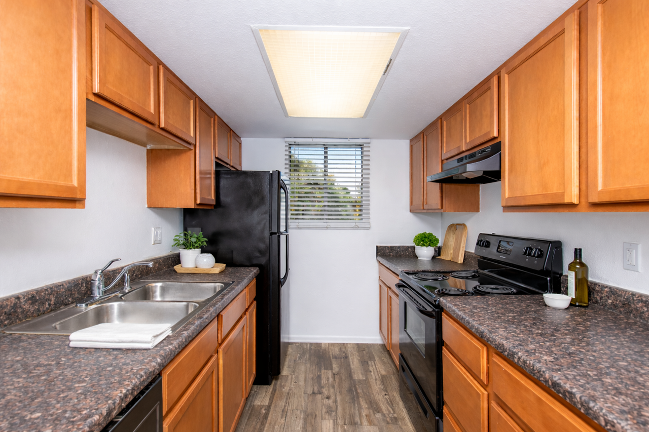 1850 East Hayden Lane #209 - Photo 7 of 13