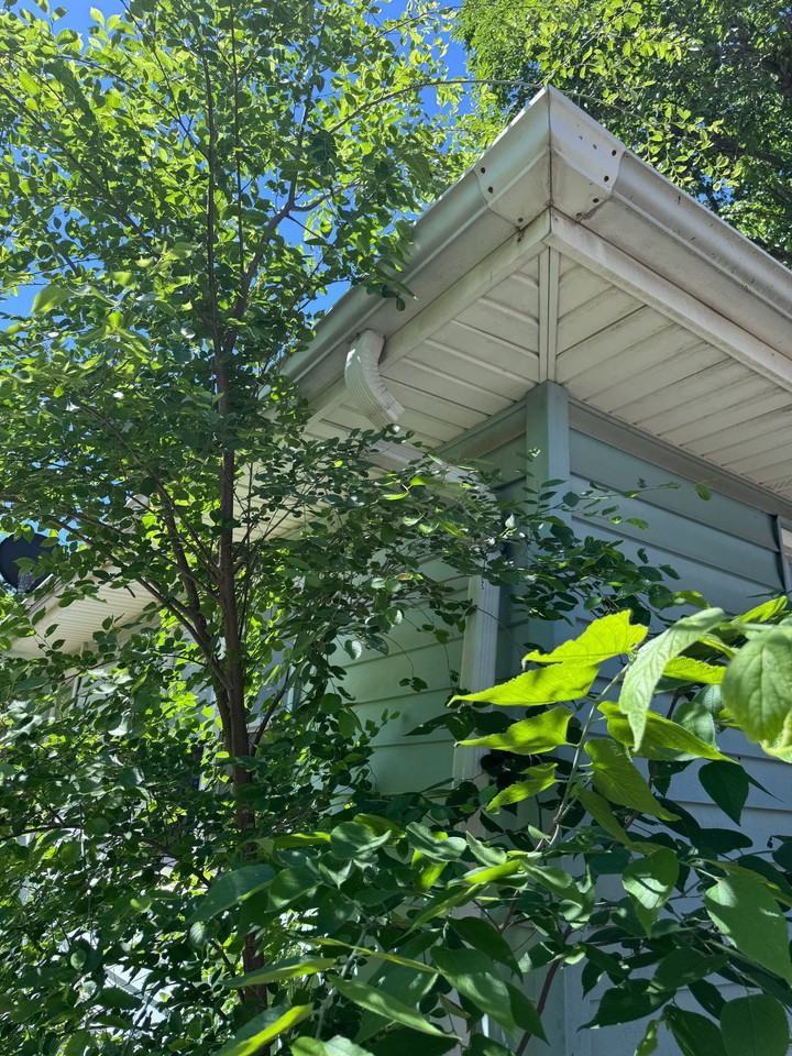 810 N C St - Photo 6 of 20