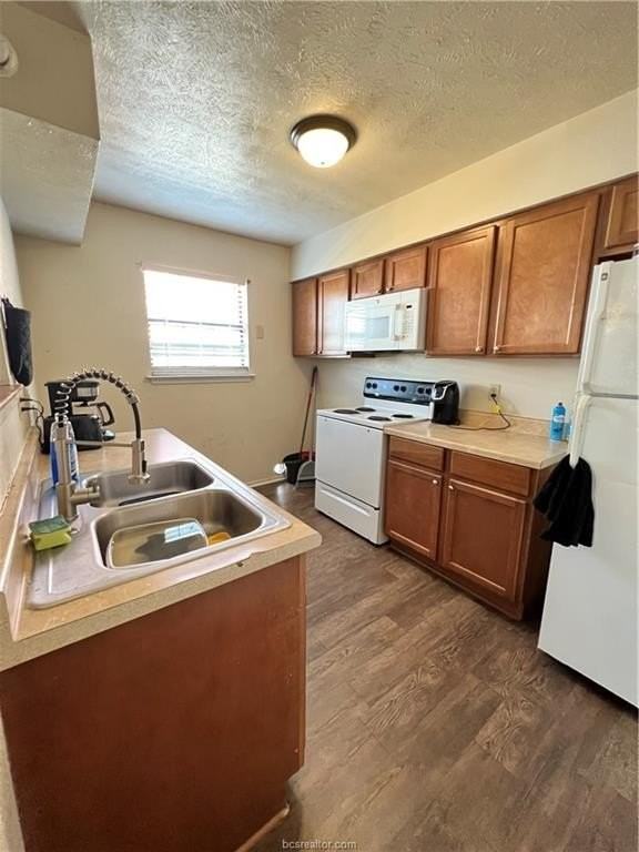 2406 Toro Ln #D - Photo 6 of 13