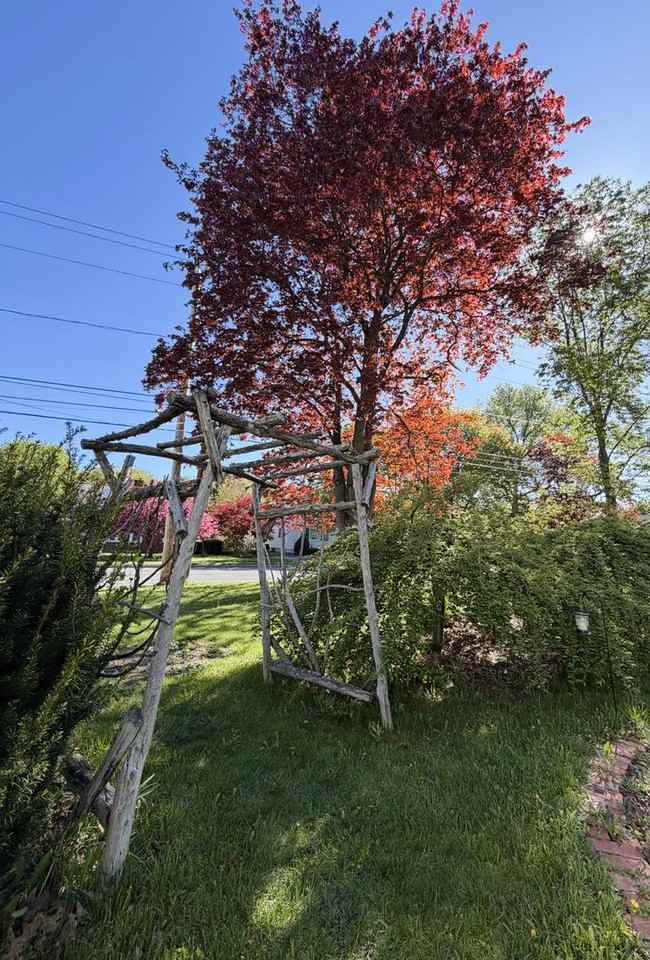 398 Elm St - Photo 7 of 8