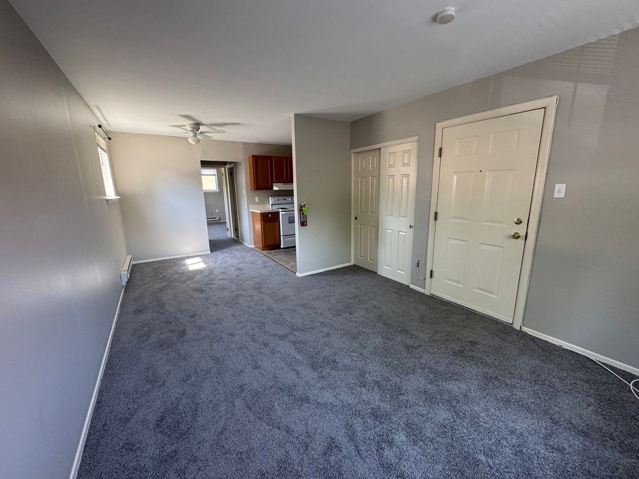 203 E Chestnut Street - Photo 4 of 22