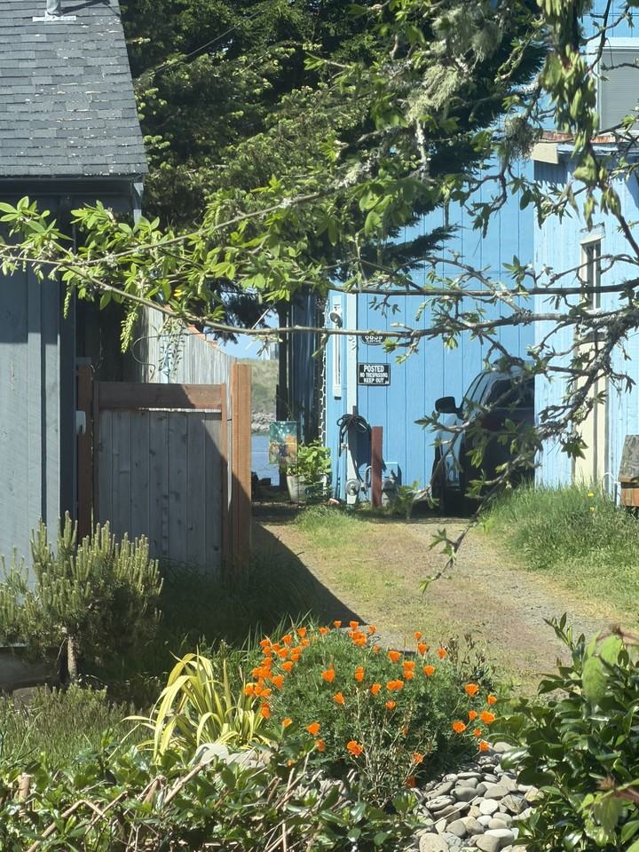 6844 Sw Fleet Ave #NA - Photo 6 of 7