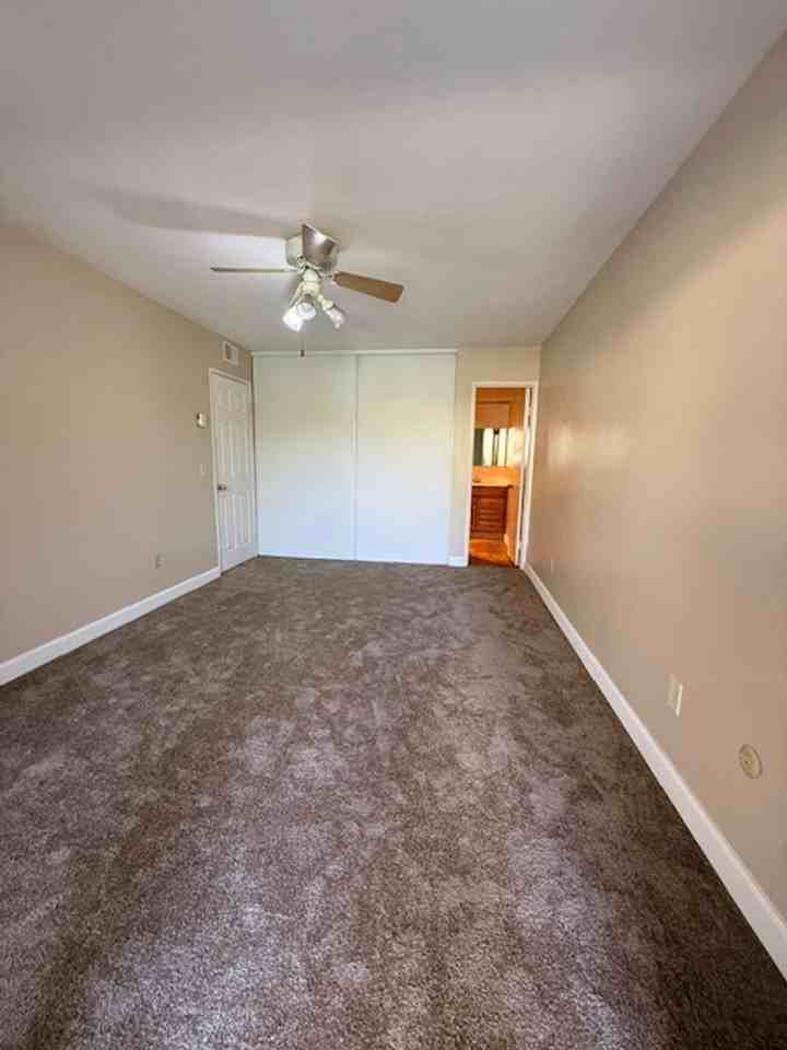 4221 Bonita Rd #1 - Photo 6 of 12