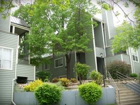 1301 University Ave #C301 - Photo 1 of 1