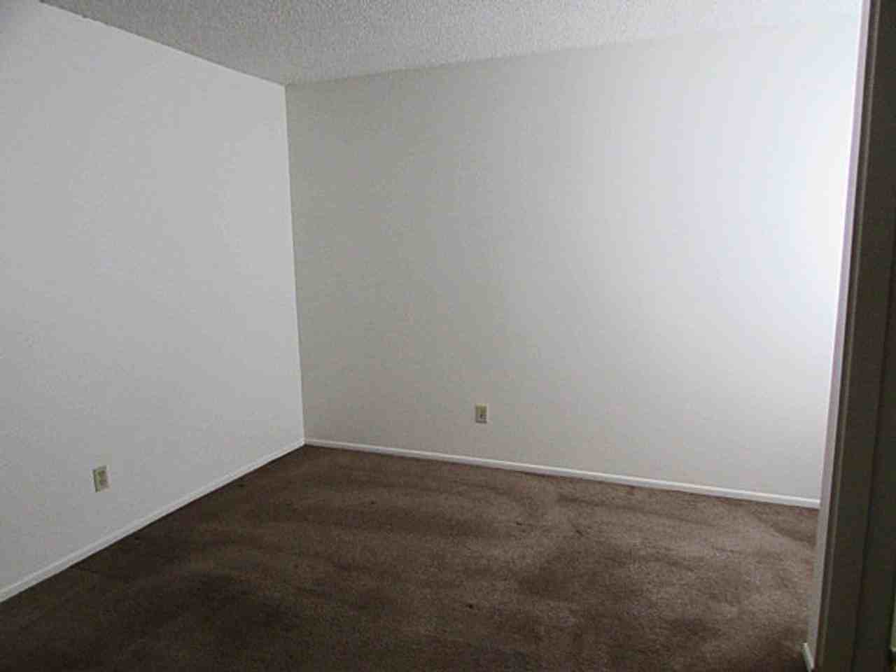 2522 Caribou Pl - Photo 7 of 12