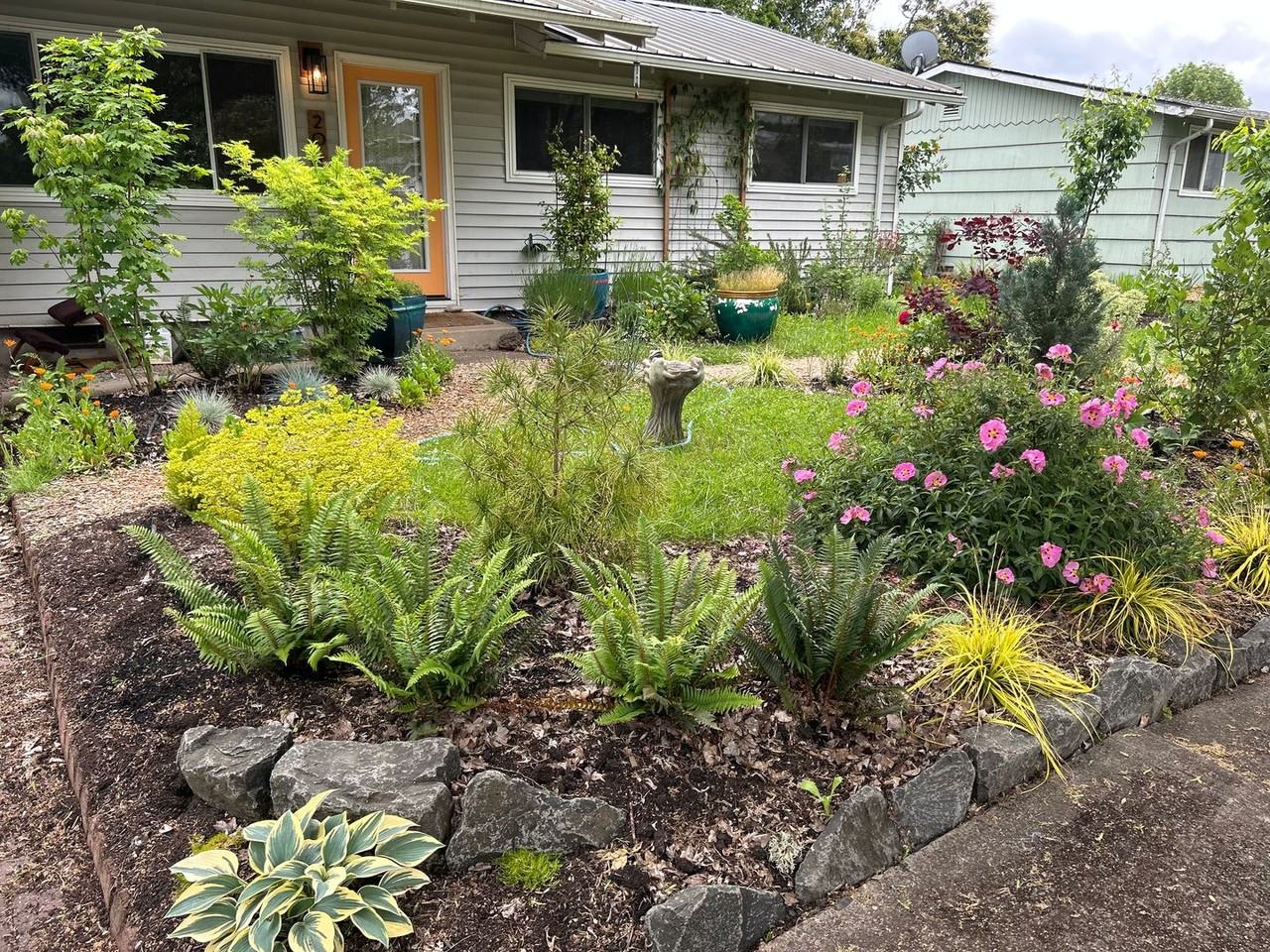 2015 Pierce St - Photo 4 of 45