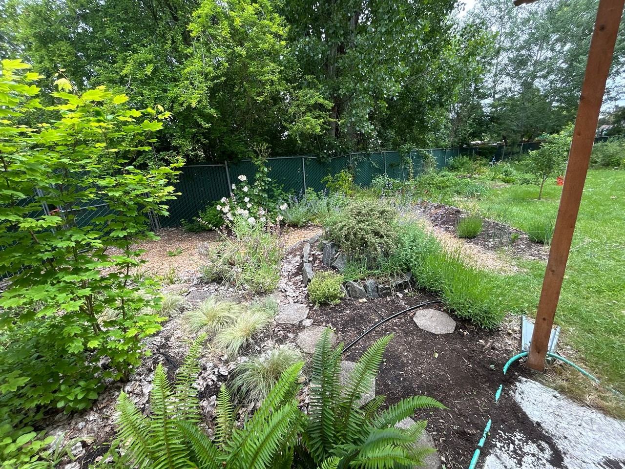 2015 Pierce St - Photo 6 of 45