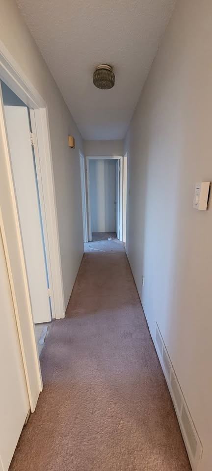 11751 Seaport Avenue #Main - Photo 4 of 10