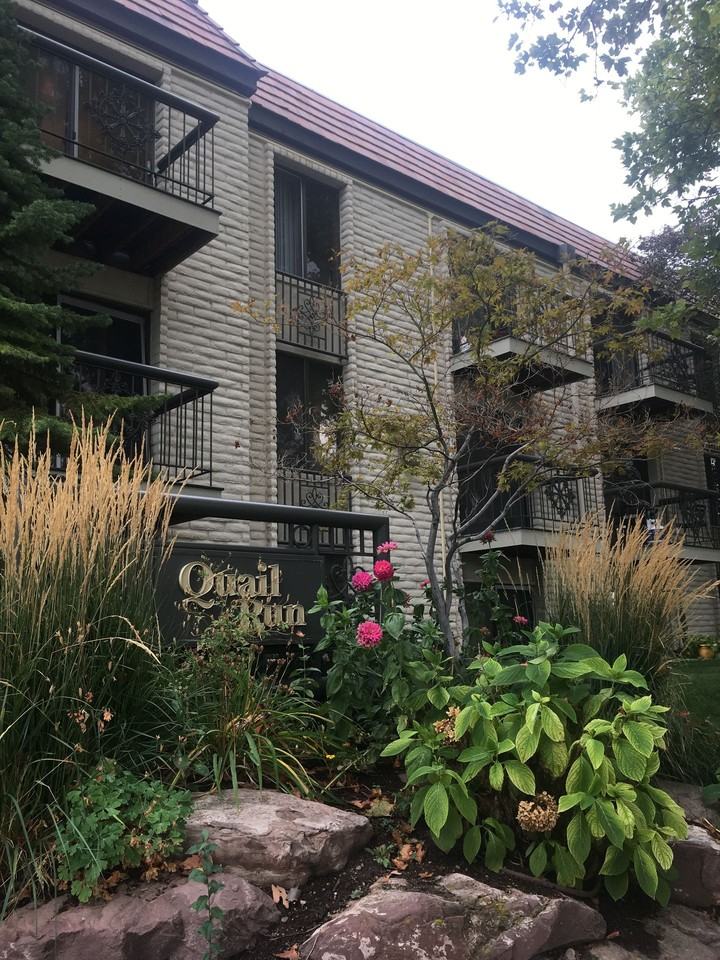 Quail Run - Photo 3 of 32