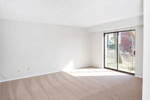 featured image of 295 MOON CLINTON ROADAPT 5 #5