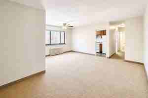 featured image of 10 PURCHASE PLACEAPT 1B #1B
