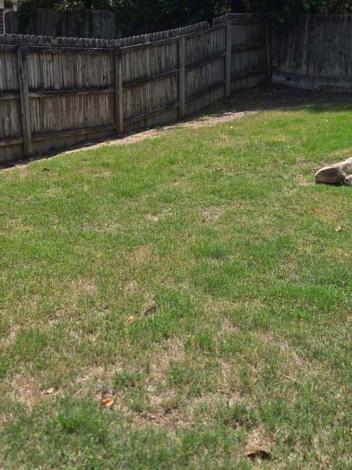 2595 Freemans Walk Dr #1 - Photo 5 of 12