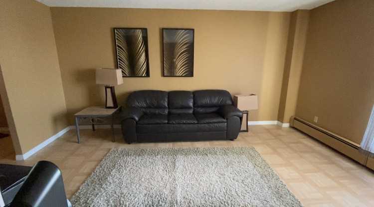 43 - 43 Centennial St #42 - Photo 5 of 14