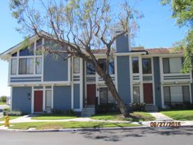 25546 Paseo La Vis - Photo 1 of 1