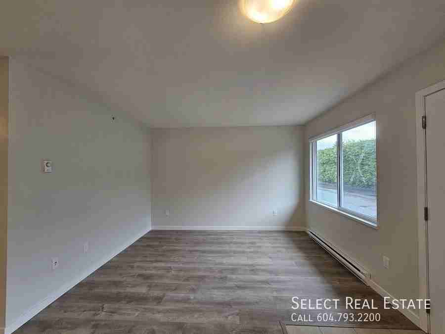 45790 Lewis Ave #5 - Photo 3 of 16