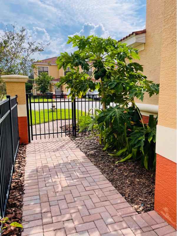 1298 Clove Dr - Photo 3 of 36