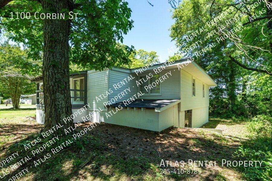 1100 Corbin St - Photo 2 of 21