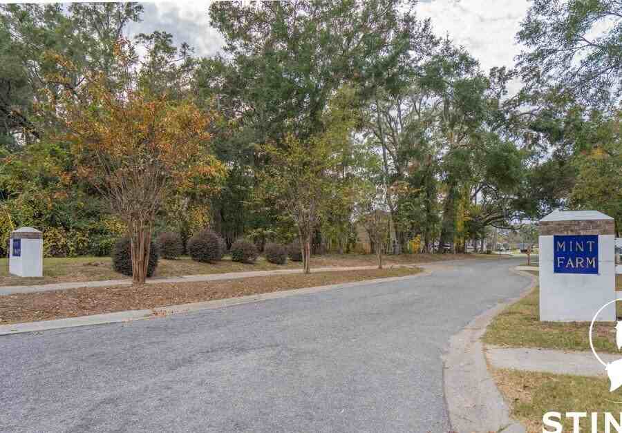 39 Spearmint Cir - Photo 4 of 36