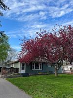 featured image of 2063 Coral Ln