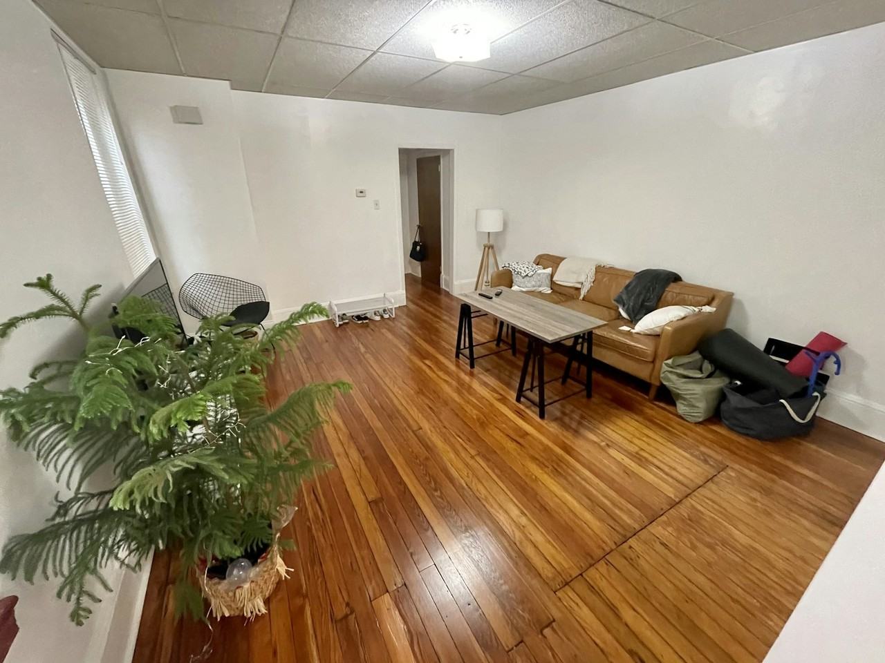 1510 Light Street, Unit 1A - Photo 2 of 18