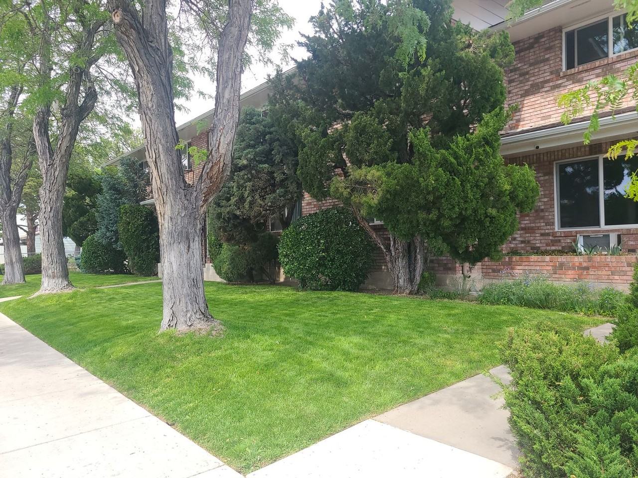 Harvard Way 1100 - Photo 2 of 49