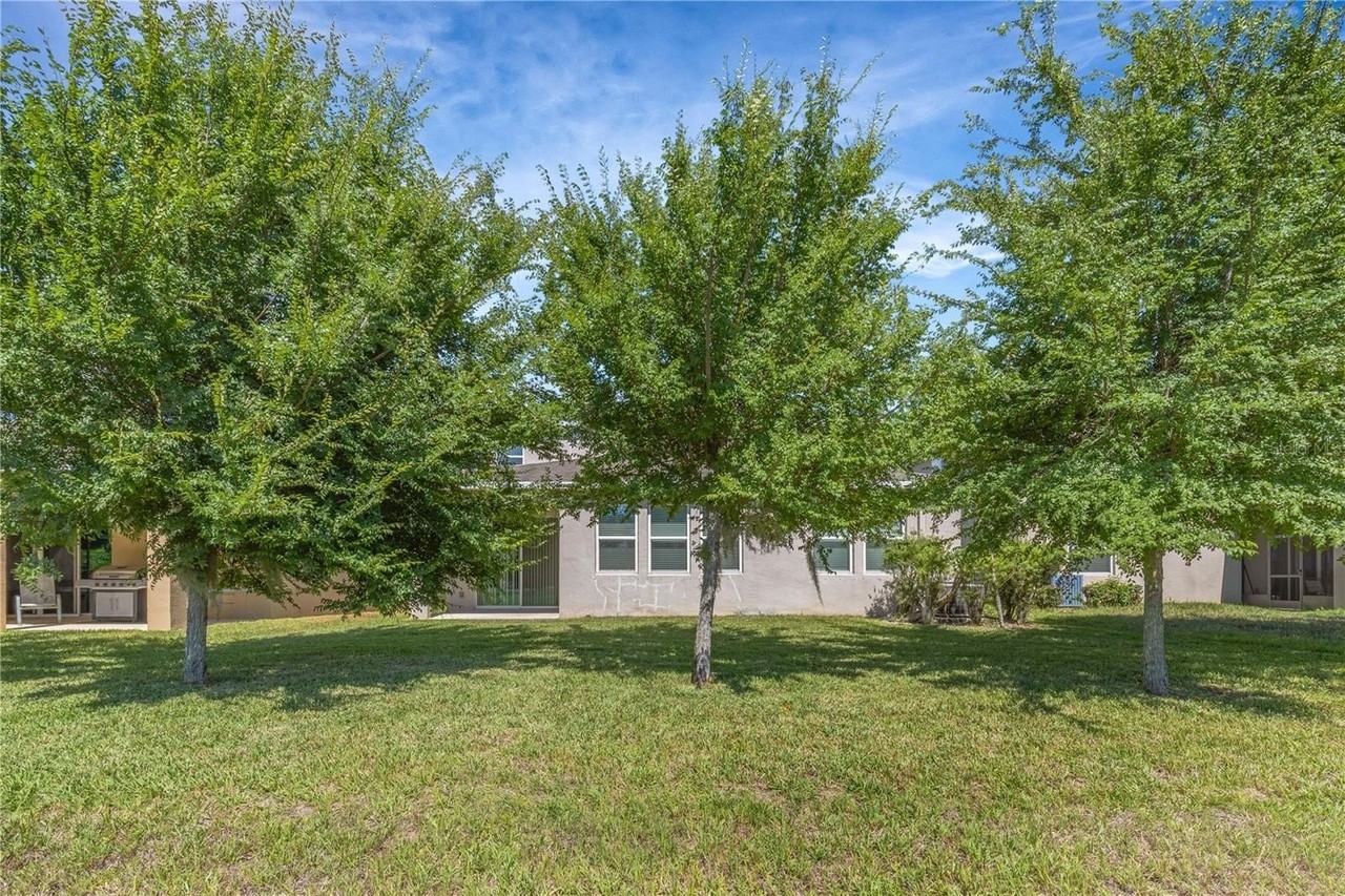 11607 Warren Oaks Pl - Photo 5 of 49